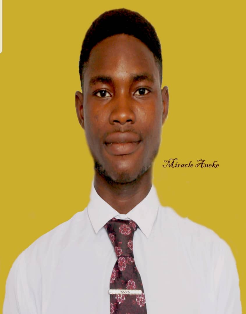 Miracle Aneke - blogger photo